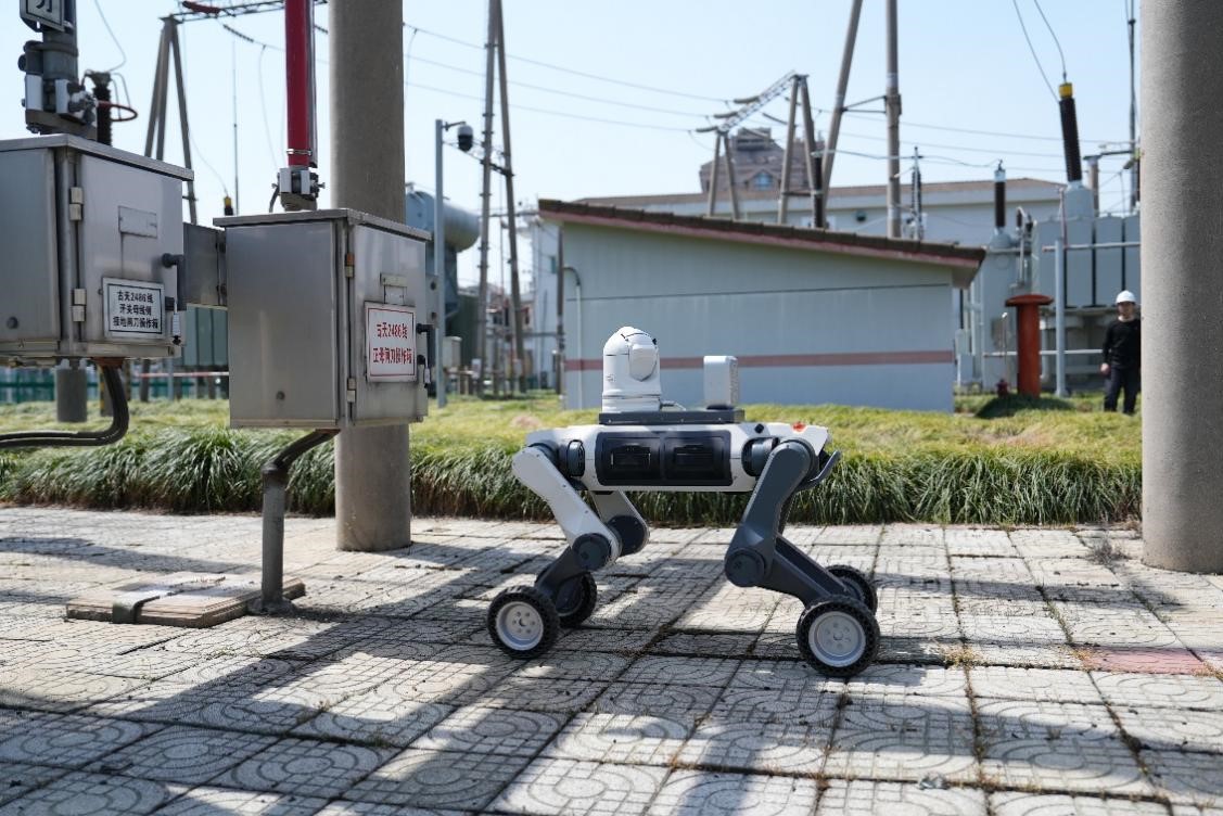 1750669301837478.jpg 图片5.jpg